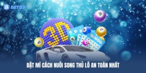 Bật mí cách nuôi song thủ lô an toàn nhất