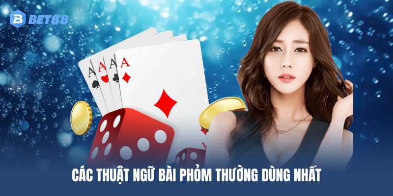 Các thuật ngữ bài Phỏm thường dùng nhất