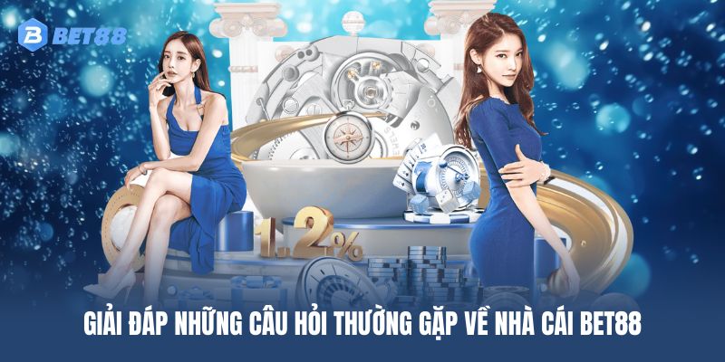 Giải đáp các thắc mắc phổ biến khi tìm hiểu về nhà cái