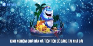 Kinh nghiệm chơi bắn cá Tiểu Tiên dễ dàng tại nhà cái